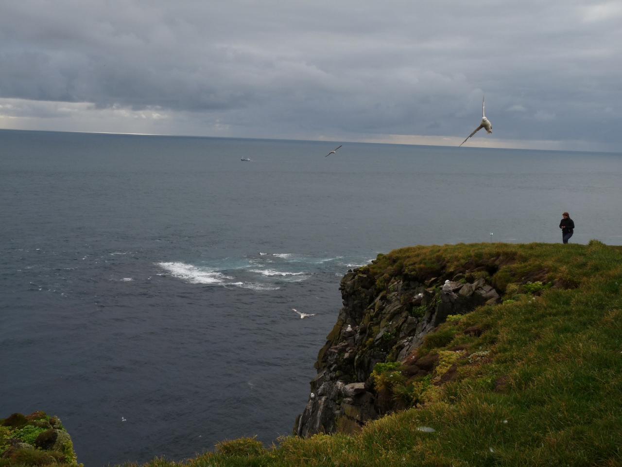 l'extrème ouest de l'Islande