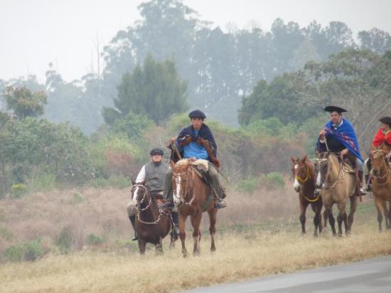 gauchos