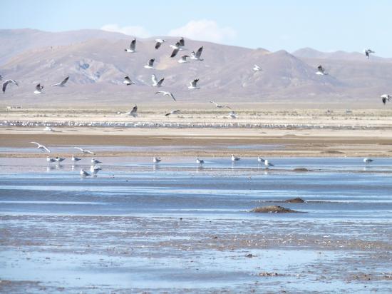 laguna pozuelos