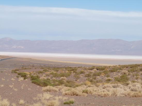 salar de Atacama