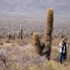 cactus et anais