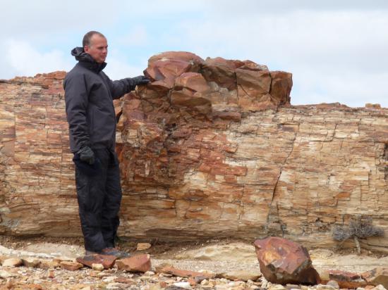 thierry et un fossile