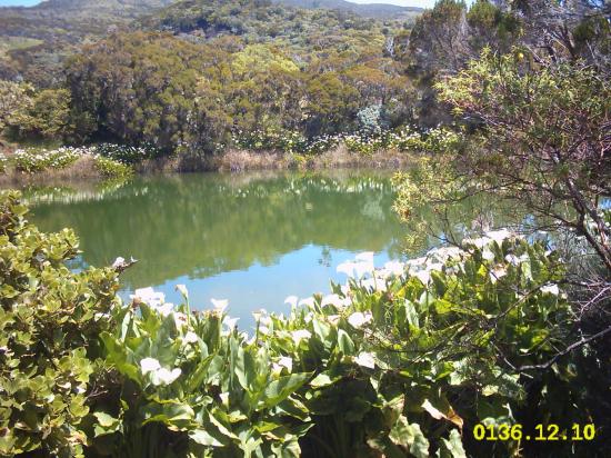 piton de l'eau région du volcan