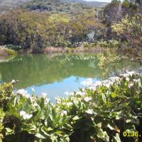 piton de l'eau région du volcan