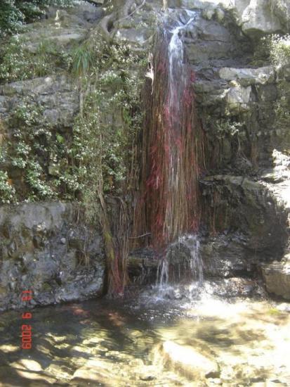 cascade bras rouge