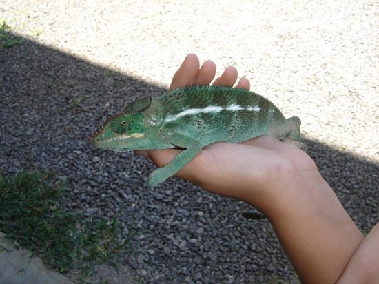 copain à mon fils dans le jardin