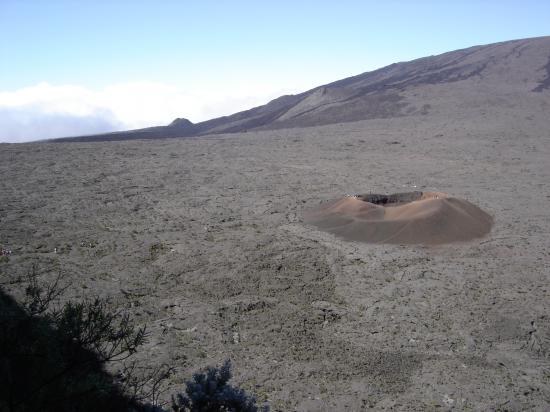 formica léo piton de la fournaise