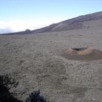 formica léo piton de la fournaise