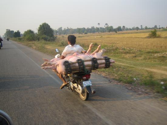 cambodge vietnam