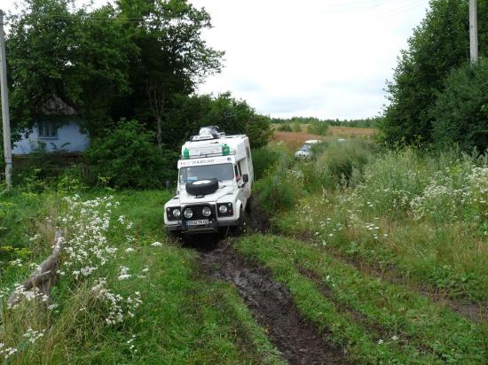 chemin dans un champ