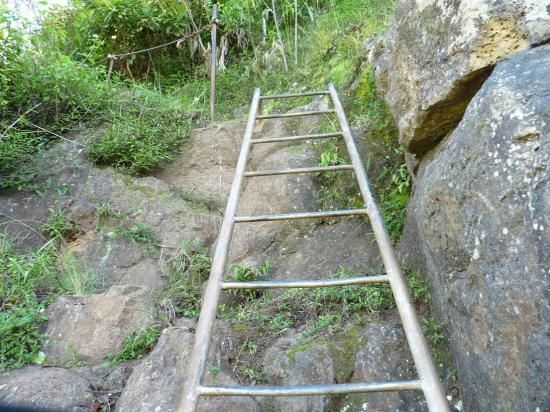 une échelle sur le parcours roche vert bouteille