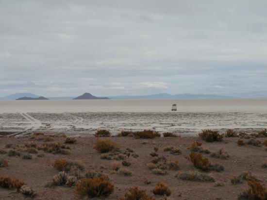 isla pescado