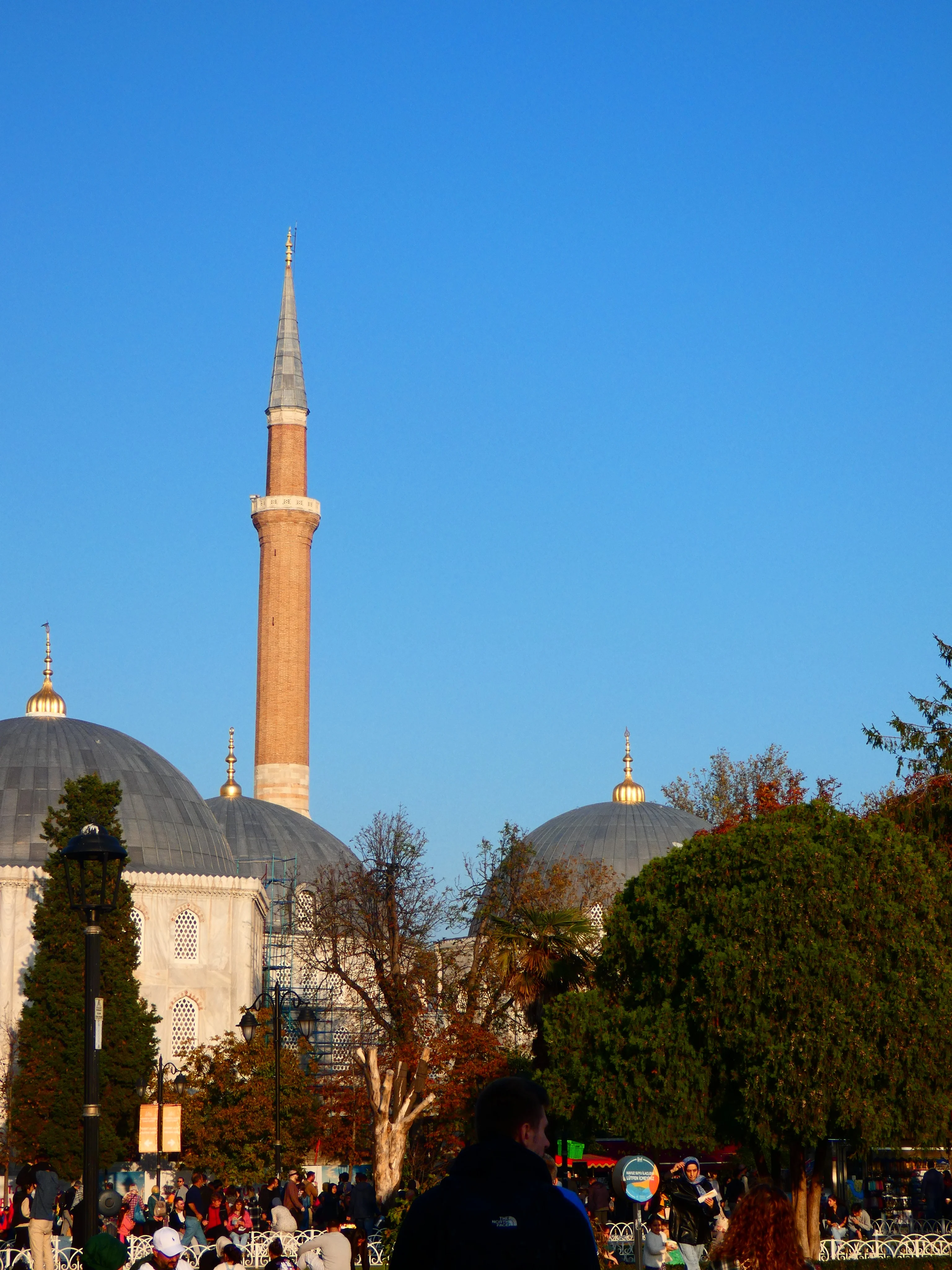 P1000520