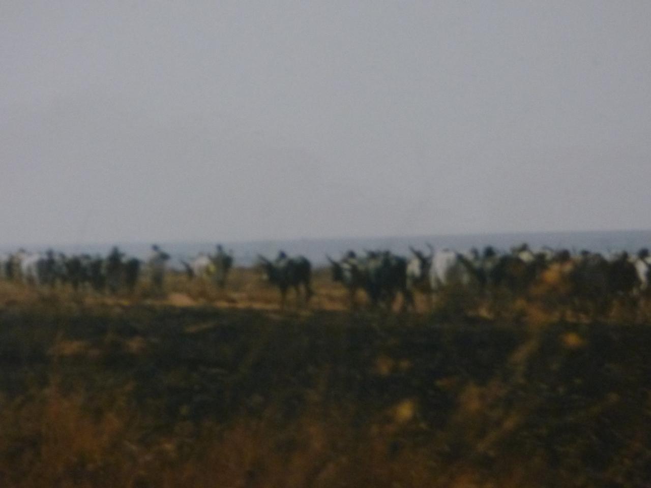 P1020451