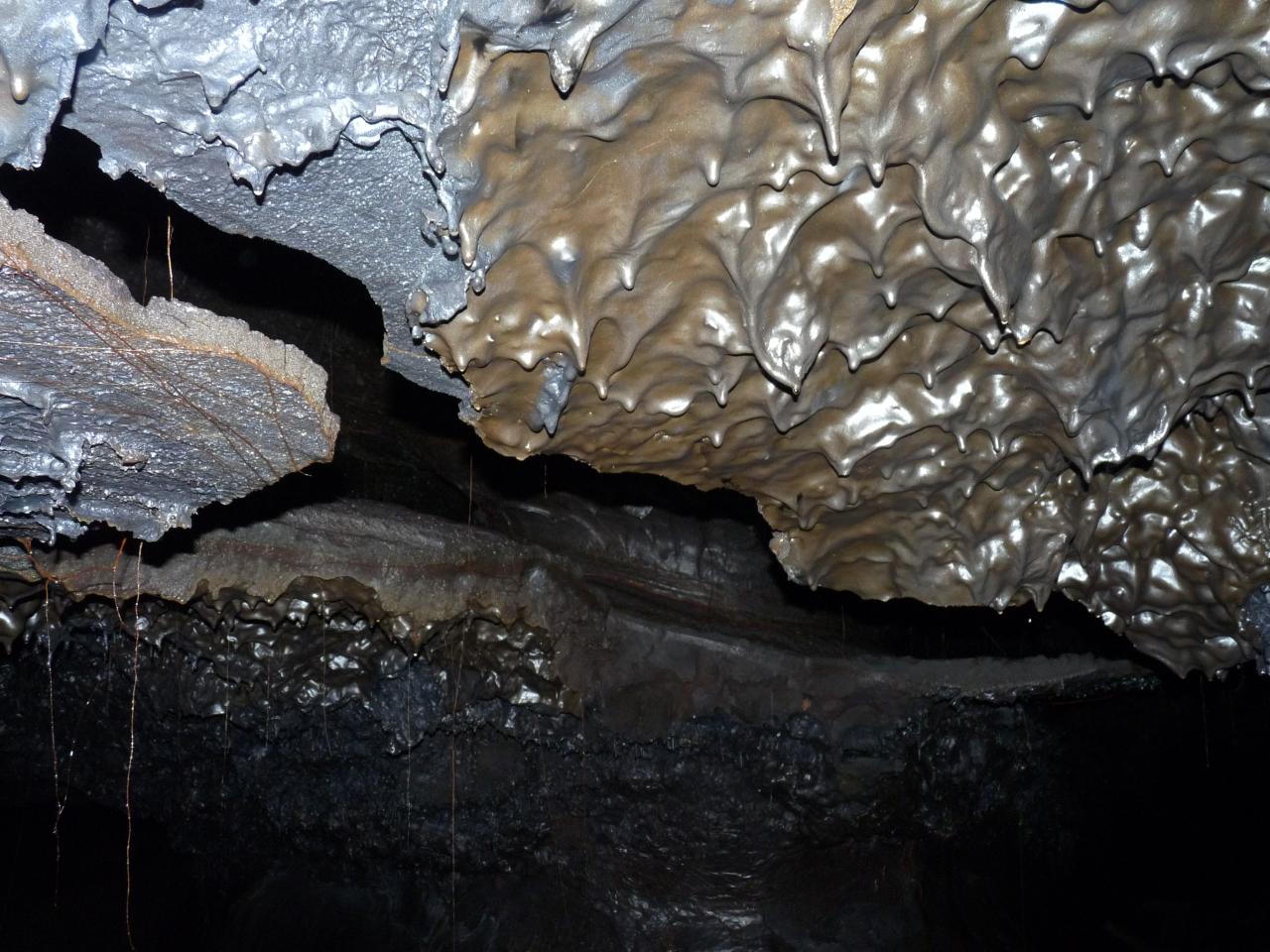 p1100239.jpg