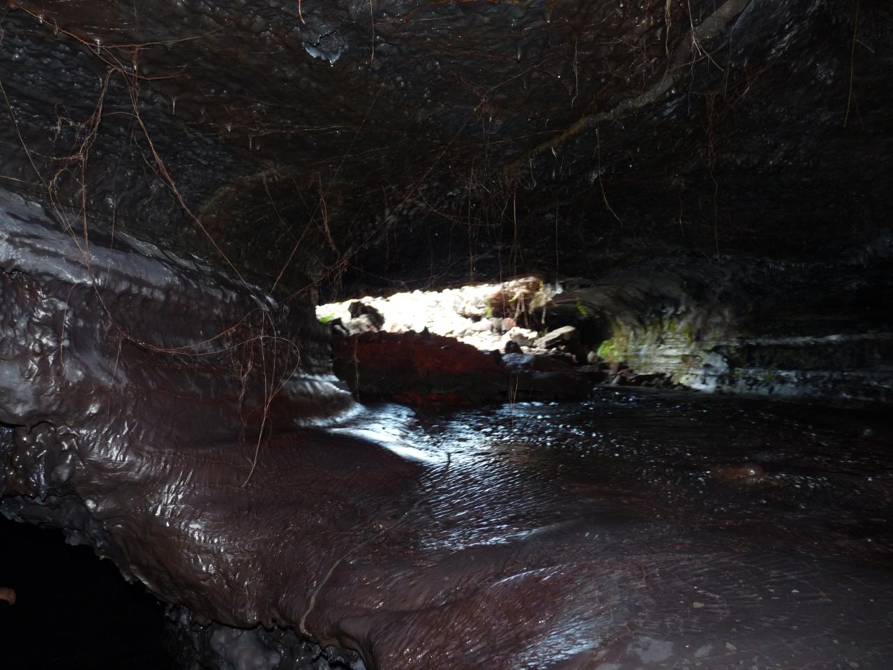 p1100259.jpg
